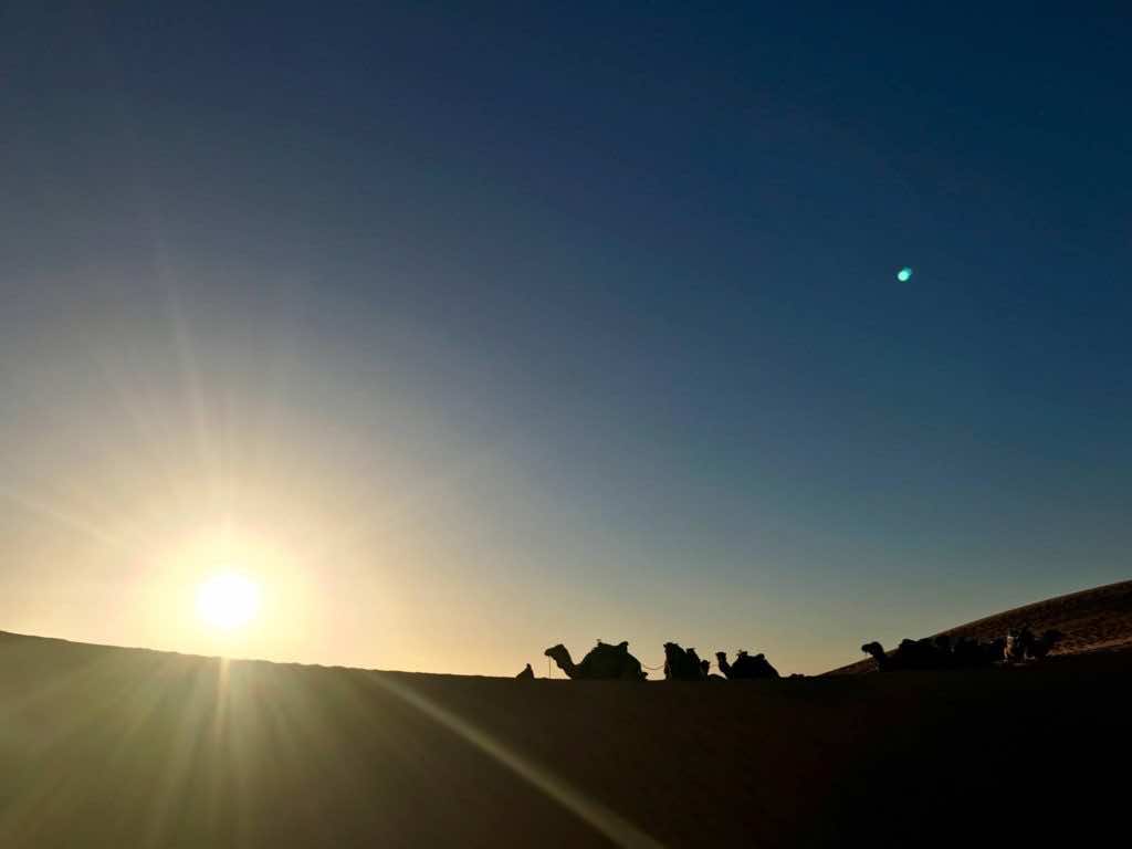 Dawn to Dusk in the Dunes of Marzouga