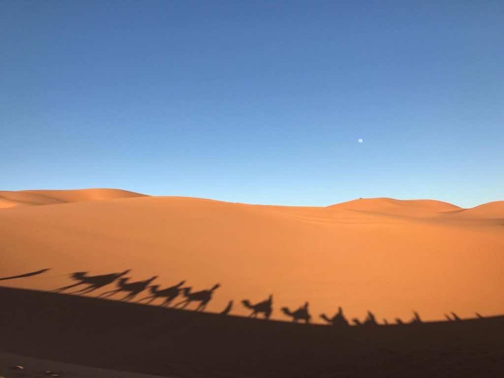 Dawn to Dusk in the Dunes of Marzouga