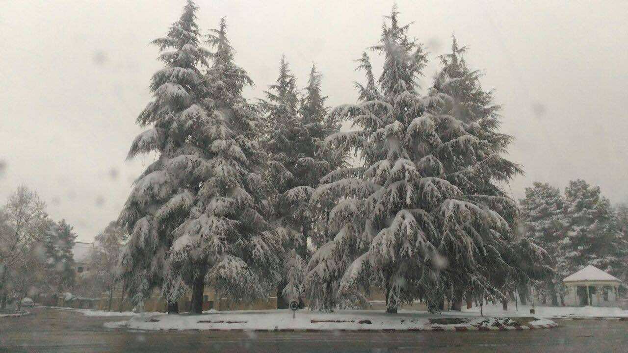 In Pictures Glamorous View of Ifrane Under Snow....