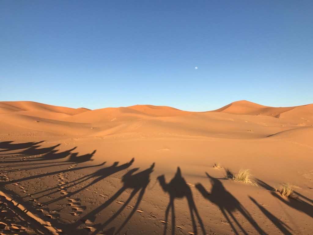 Dawn to Dusk in the Dunes of Marzouga