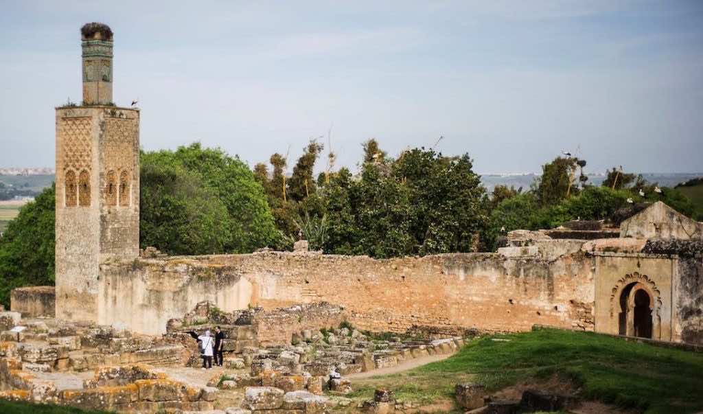 Rabat’s Ancient Ruins and their Modern Guardians: Cats and Storks