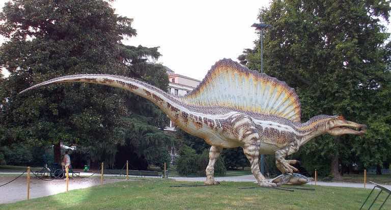 moroccan spinosaurus