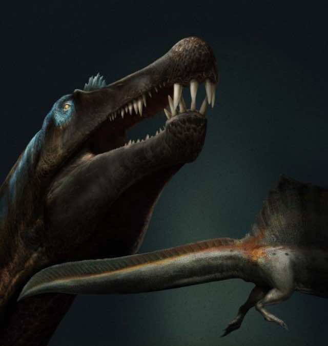 moroccan spinosaurus