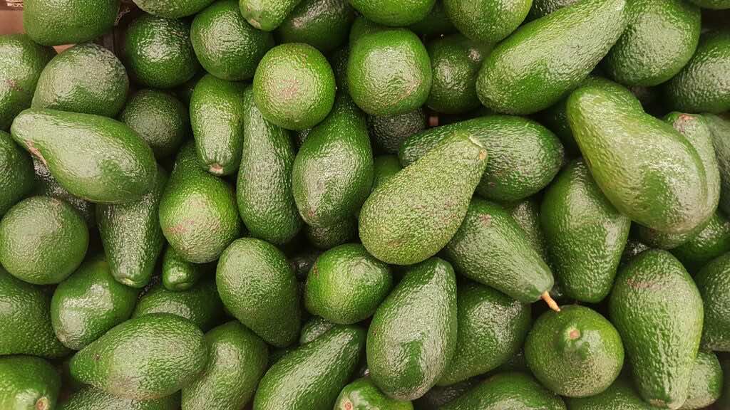 Israel’s Mehadrin Wants to Plant Avocados in Morocco