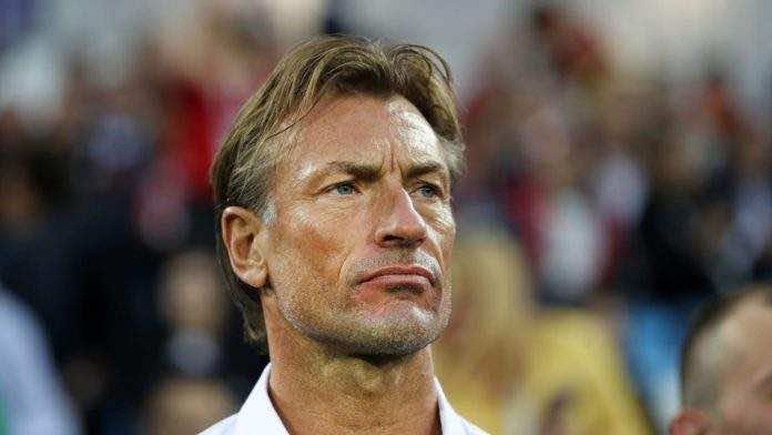 Ridiculously good looking Moroccan football coach Herve Renard, who 'looks  like your mom's new boyfriend', wins the hearts of World Cup fans - ZamFoot
