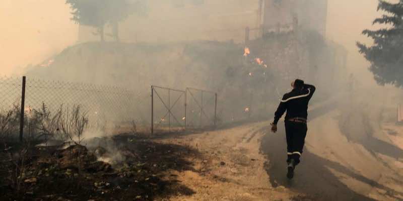 Devastating Wildfires Kill At Least 26 People In Algeria