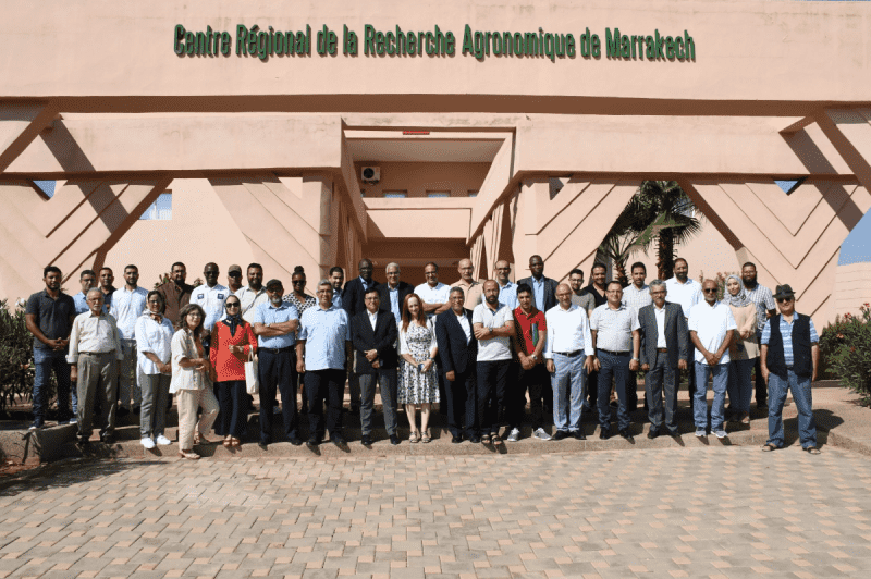 APNI, INRA Organize Workshop for Olive Trees Production in Morocco