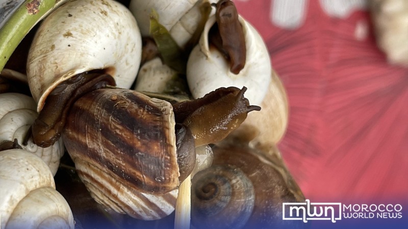 What Is Escargot? Don't Turn Your Nose Up at This Snail Dish