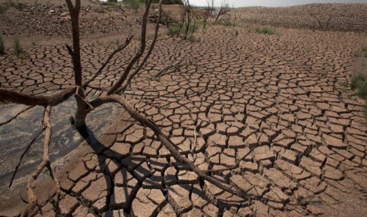 Morocco S Water Intensive Crops Industry Faces Questions Amid Water   Moroccos Water Intensive Crops Industry Faces Questions Amid Water Shortages 