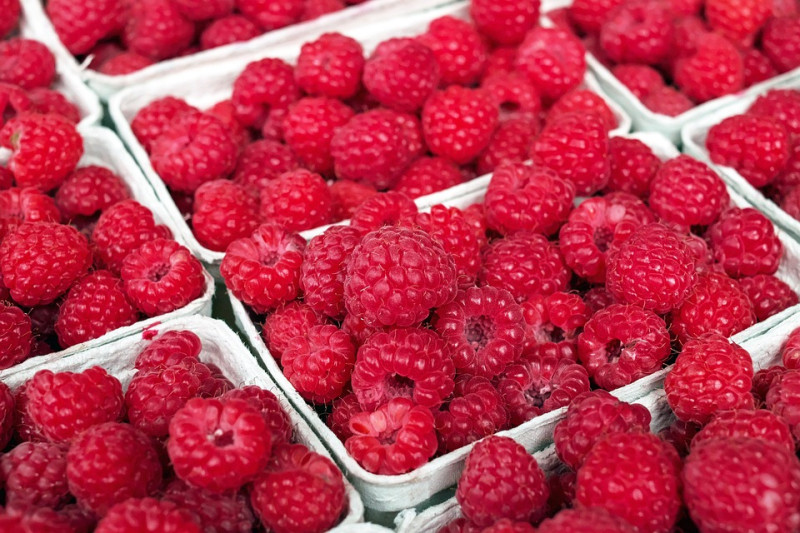 Morocco Overtakes US to Become World’s 3rd Top Raspberry Exporter