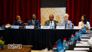 High-Level UN Panel Unveils New Multidimensional Vulnerability Index Data