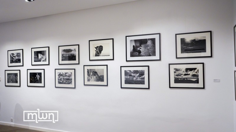 Black and White Photo Exhibition 